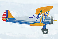 SDS523 - Biplane II - 18x12