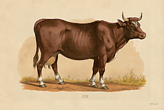 Stellar Design Studio SDS532 - SDS532 - Cow - 18x12 Cow, Animals, Farm, Portrait from Penny Lane