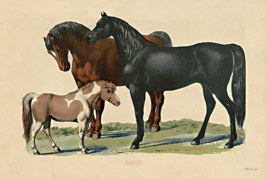 Stellar Design Studio SDS533 - SDS533 - Horses - 18x12 Horses, Animals, Farm, Trio from Penny Lane
