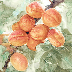 SDS574 - Peach Branch - 12x12