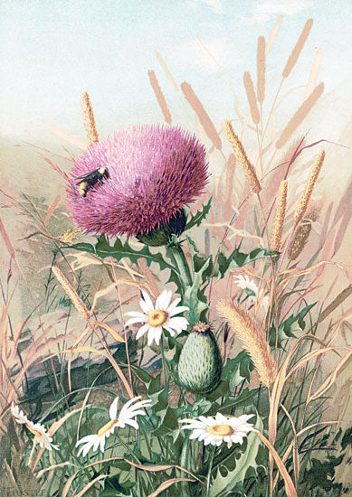 Stellar Design Studio SDS634 - SDS634 - Meadow Flowers 1 - 12x18 Flowers, Meadow Flowers, Pink Flower, Bee from Penny Lane