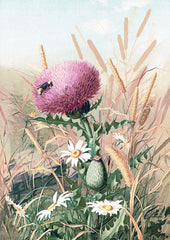SDS634 - Meadow Flowers 1 - 12x18