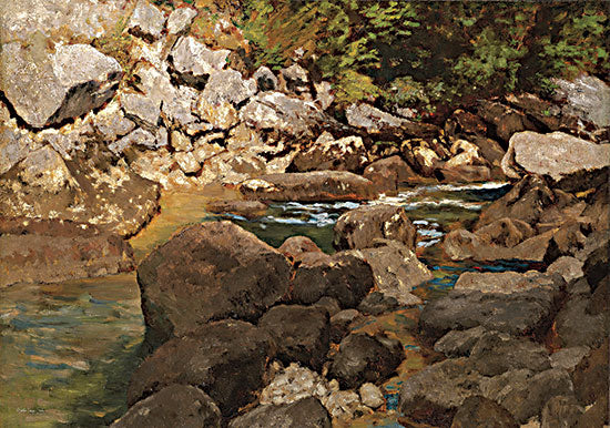 Stellar Design Studio SDS670 - SDS670 - Shapes of Nature     - 16x12 Abstract, Landscape, Rocks, River from Penny Lane