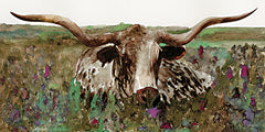 SDS713 - Texas Longhorn in Field - 18x9