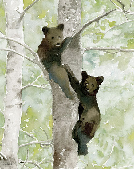 Stellar Design Studio SDS800 - SDS800 - Bear Cub in Tree 1 - 12x16 Bears, Bear Cubs, Brown Bears, Trees, Abstract, Wildlife from Penny Lane