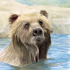 SDS802 - Bear Bath - 12x12