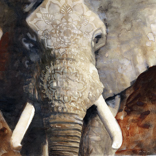 Stellar Design Studio SDS825 - SDS825 - Mandala Elephant - 12x12 Elephant, Portrait, Animals from Penny Lane