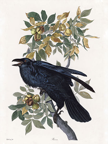 Stellar Design Studio SDS899 - SDS899 - Vintage Crow 2 - 12x16 Crows, Birds, Black Birds, Tree Branch from Penny Lane