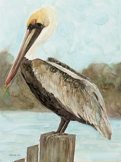 Stellar Design Studio SDS931 - SDS931 - Brown Pelican 3 - 12x16 Pelicans, Coastal, Pier, Birds from Penny Lane