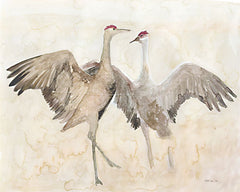 SDS959 - Sandhill Cranes 1 - 16x12