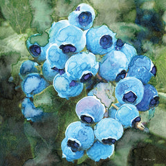 SDS989 - Blueberries 3 - 12x12