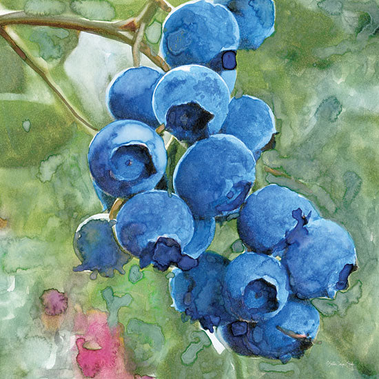 Stellar Design Studio SDS990 - SDS990 - Blueberries 4 - 12x12 Abstract, Blueberries, Fruit, Kitchen from Penny Lane