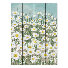 ST1005PAL - Daisies in the Sky - 12x16