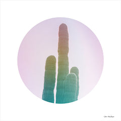 ST679 - Circular Cacti - 12x12