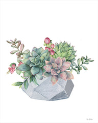 ST798 - Watercolor Succulents - 12x16