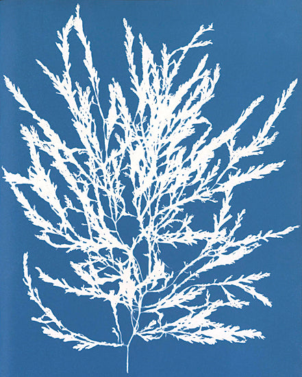 Seven Trees Design ST923 - ST923 - Blue Botanical I - 12x16 Botanical, Blue & White, Plant from Penny Lane