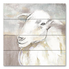 WL159PAL - Sheep Portrait - 12x12