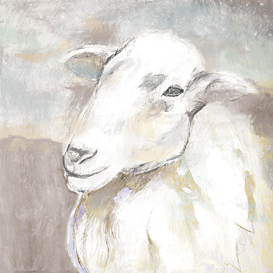 White Ladder WL159 - WL159 - Sheep Portrait - 12x12 Abstract, Sheep, Portrait from Penny Lane