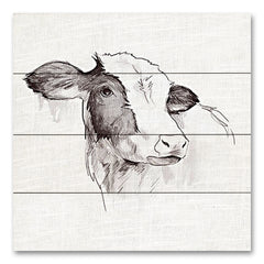 WL160PAL - Cow Ink Drawing - 12x12