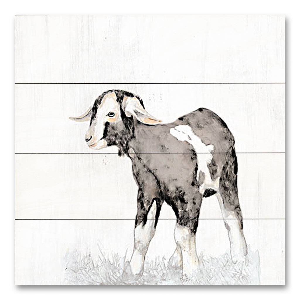 White Ladder WL161PAL - WL161PAL - Little Kid - 12x12 Goat, Baby Goat, Kid, Portrait, Farm Animal from Penny Lane