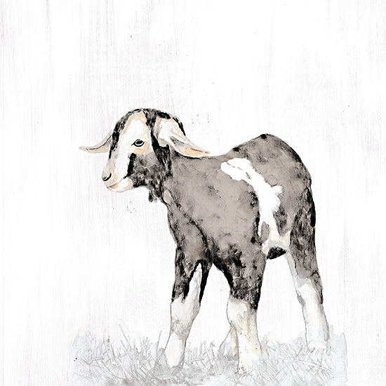 White Ladder WL161 - WL161 - Little Kid - 12x12 Goat, Baby Goat, Kid, Portrait, Farm Animal from Penny Lane