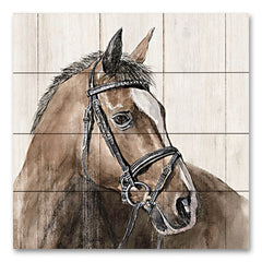 WL171PAL - Horse Portrait - 12x12