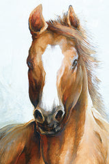 WL185 - Beauty of a Horse - 12x18