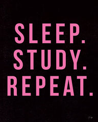 YND222 - Sleep. Study. Sleep. - 12x16