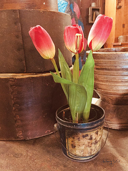 Anthony Smith ANT135 - Tulip Simplicity Tulip, Flowers, Bucket, Spring from Penny Lane