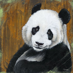BHAR465 - Panda Smile - 12x12