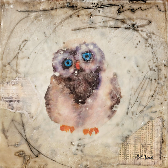 Britt Hallowell BHAR505 - BHAR505 - The Wonder Years I - 12x12 Abstract, Owl, Baby Owl, Bird from Penny Lane