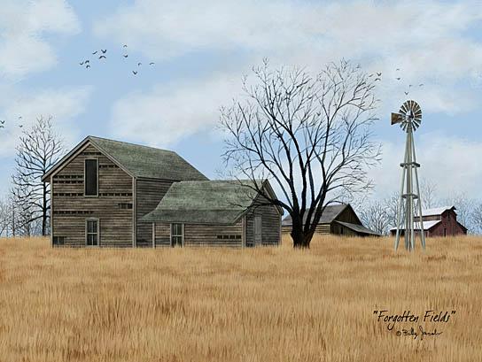 Billy Jacobs BJ1181 - Forgotten Fields - Barn, Farm, Windmill, Field from Penny Lane Publishing