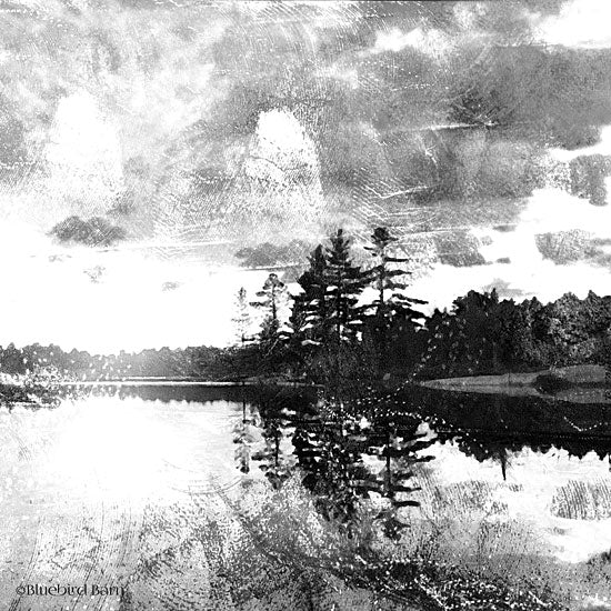 Bluebird Barn BLUE109 - Lakeside Pines - 12x12 Landscape, Black & White, Trees, Filter from Penny Lane