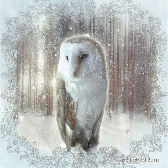 Bluebird Barn BLUE153 - BLUE153 - Enchanted Winter Owl    - 12x12 Owl, Winter, Forest, Portrait from Penny Lane