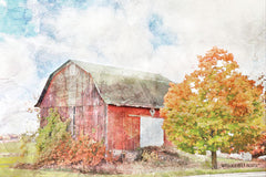 BLUE233 - Autumn Maple by the Barn - 18x12