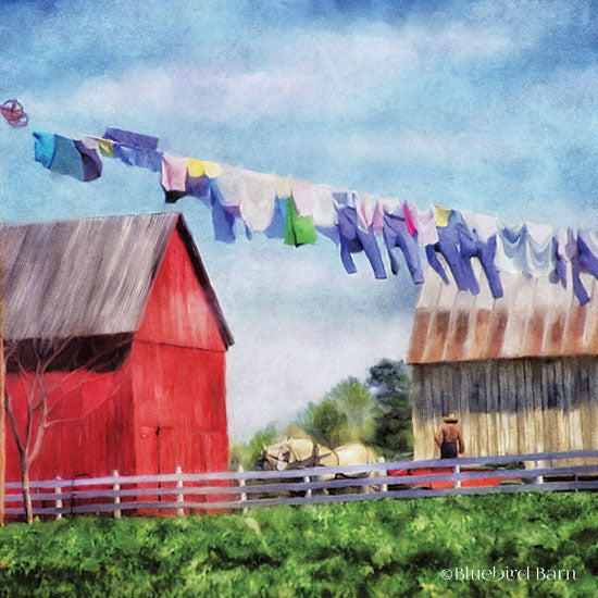 Bluebird Barn BLUE235 - Clothesline Farm - 12x12 Farm, Barns, Clothesline, Laundry from Penny Lane