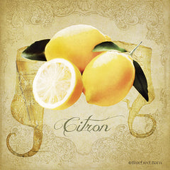 BLUE243 - Vintage Lemons Citron - 12x12