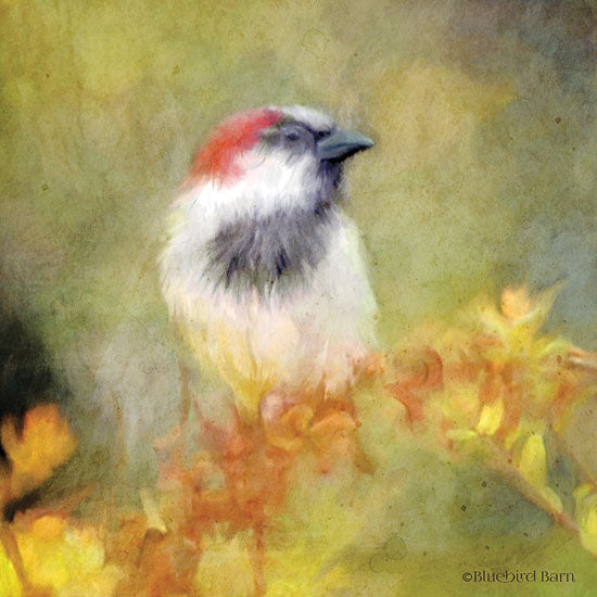 Bluebird Barn BLUE250 - Backyard Bird in Autumn - 12x12 Birds, Autumn, Abstract from Penny Lane