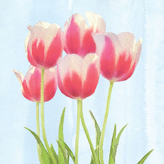BLUE295 - Fresh Spring Tulips III - 12x12