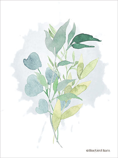 Bluebird Barn BLUE300 - BLUE300 - Watercolor Greenery Series II  - 12x16 Watercolor, Greenery, Botanical from Penny Lane