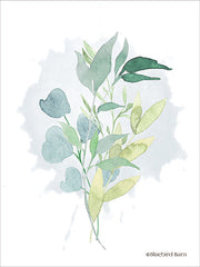 BLUE300 - Watercolor Greenery Series II  - 12x16