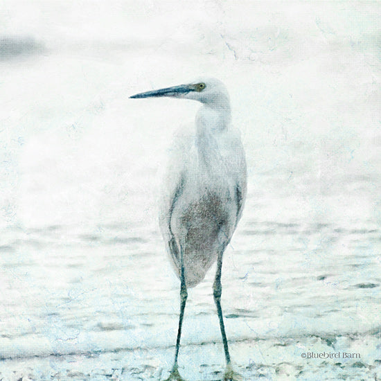 Bluebird Barn BLUE350 - BLUE350 - Beach Heron - 12x12 Heron, Beach, Coastal, Bird, Photography from Penny Lane