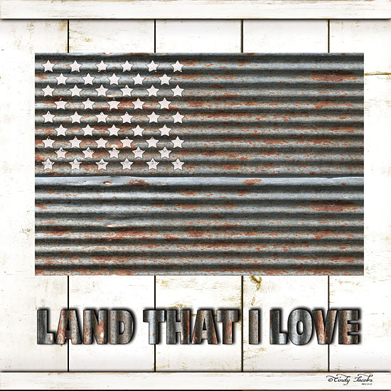 Cindy Jacobs CIN1056 - Land That I Love - Galvanized Metal, American Flag, USA, America, Shiplap from Penny Lane Publishing