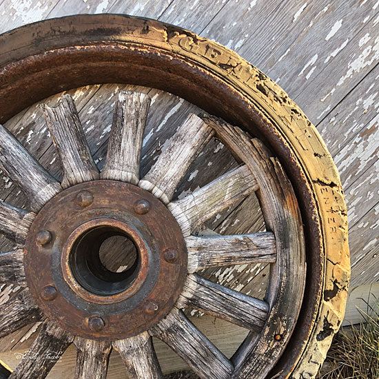 Cindy Jacobs CIN1138 - Old Wheel II Wheel, Antique from Penny Lane