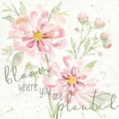 CIN1389 - Bloom Where You are Planted