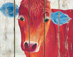 CIN905 - Mrs. Patriotic Cow