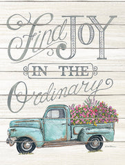DS1662 - Find Joy in the Ordinary - 12x16