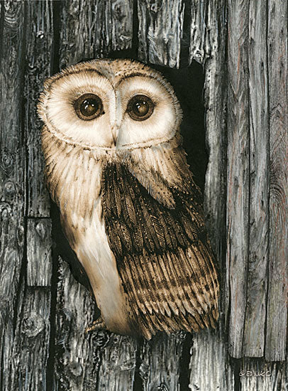 Ed Wargo ED382 - Owl Sentry Owl, Tree from Penny Lane