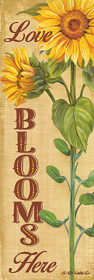 Ed Wargo ED398 - Love Blooms Here - 6x18 Love Blooms Here, Sunflower, Flower, Autumn, Signs from Penny Lane