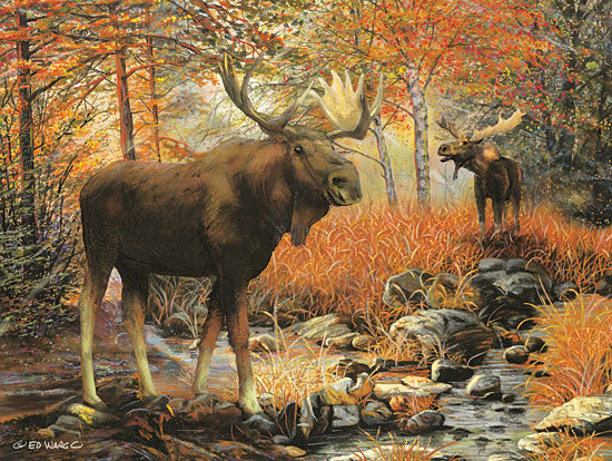Ed Wargo ED401 - Call of the Wild - 16x12 Moose, Autumn, Rocks, Lodge, Forest, Trees, Lake from Penny Lane
